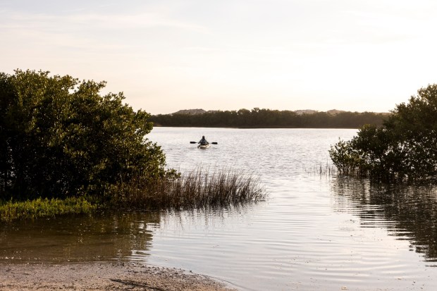 The estuarine tidal marsh is a prime location for kayaking at Anastasia State Park in St. Augustine. (Patrick Connolly/Orlando Sentinel)