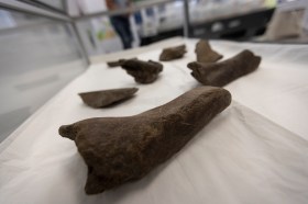 The mastodon bones and other artifacts found during construction will soon go on display at a new project visitor's center in Norfolk.