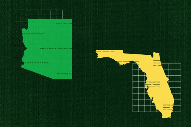 A photo illustration showing Arizona colored bright green and Florida colored in bright yellow. They are on separate ends of the canvas with small grid designs behind them. (Eric Harkleroad/KFF Health News illustration/Getty Images/TNS)